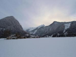 Apartment Sulzau near Wildkogel Ski Slopes