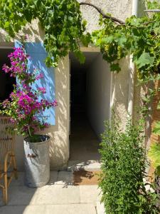 Maisons de vacances Les volets bleus : photos des chambres