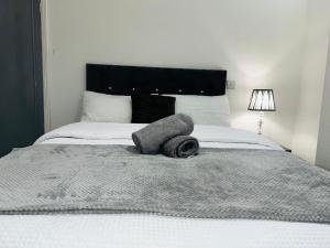 Large n bright House