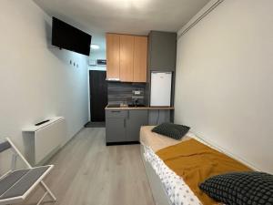 Doua locuințe separate pe același etaj, pentru 4 persoane, centru Arad