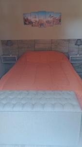 Cabaña zona Centinela