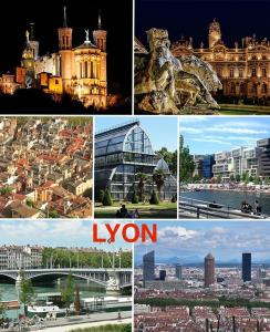 Appartements Chez Annick, studio proche tram, Groupama Stadium, LDLC Arena : photos des chambres