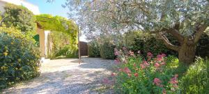 Appartements Gite la glycine avec piscine au mas de Saint Jean : photos des chambres