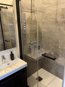 Appartements Chez Annick, studio proche tram, Groupama Stadium, LDLC Arena : photos des chambres