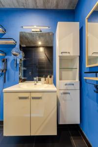 Villas Gites Spa Strasbourg - La Villa 14 : photos des chambres