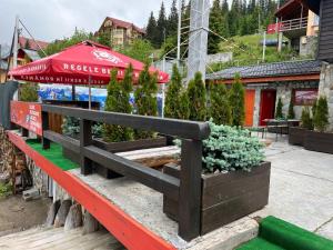 Pensiunea Alpin SPA