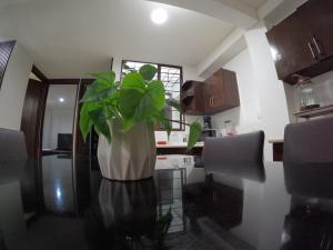 Departamento Diamante