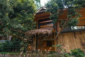 Lochi Chiangmai โลชิ เชียงใหม่