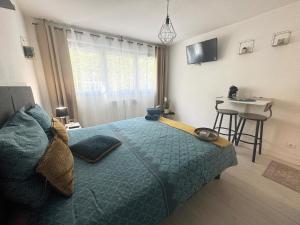Appartements Studio Le Cocon 22m2 : photos des chambres
