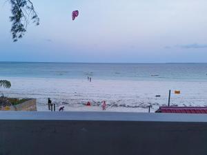 TR Beach Apartments - Uroa Beachfront Bliss Modern 1BR Oceanview Retreat