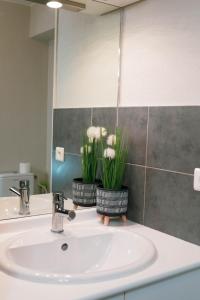 Appartements Studio Le Voyageur 24 m2 : photos des chambres