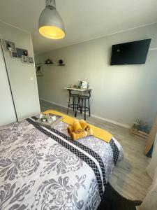 Appartements Studio Le Voyageur 24 m2 : photos des chambres