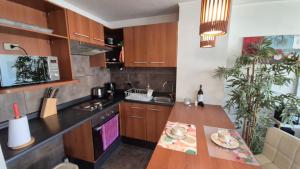 Apartamento Pet-Friendly, Piscina, Vista Cerro San Cristobal, Santiago