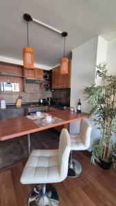 Apartamento Pet-Friendly, Piscina, Vista Cerro San Cristobal, Santiago