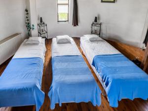 Charming Nieuwpoort Mill Retreat