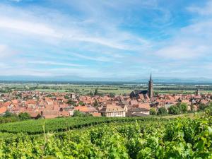 Appartements Apartment in Dambach near Vineyards : photos des chambres