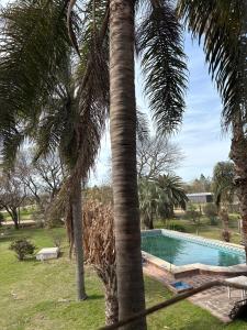 Casa Residencial Las Rosas