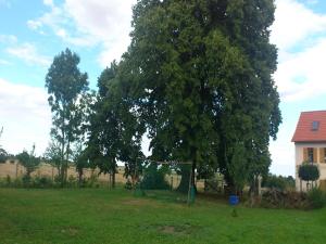 Charming Retreat, Ballenstedt