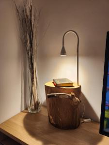 Pi 1 - APARTMENT IN THE HEART OF BUCHAREST, AMAZING LOCATION, COZY, SLEEPS 4