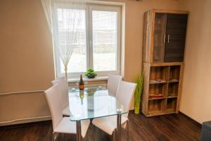 Luxury apartment in city center