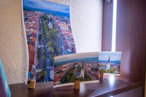 Luxury apartment in city center