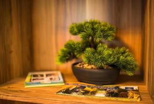 Luxury apartment in city center