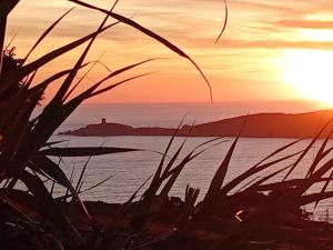 Appartements T2 neuf situation Topissime village de Cargese Vue mer Toutes commodites : photos des chambres