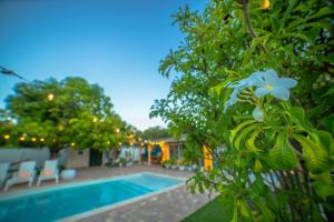 3-Bedroom Tropical Villa with Heated Pool in Fort Lauderdale