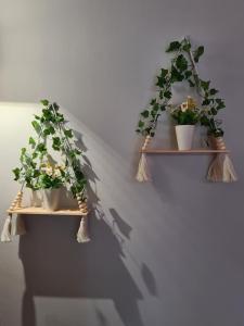 La Casa di Rocco - Holiday Home Catania