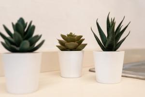 Social Lodge Cabouqueira Studios