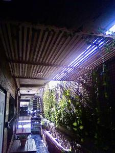 Award winning Loft DT JAKUZZI