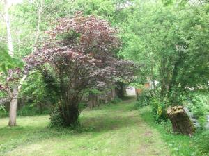 Maisons de vacances Charming Brittany Hideaway : photos des chambres