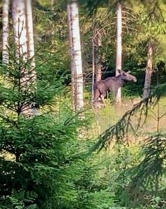 17th century Boatsmen House Aspegiljan