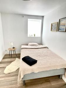 Charming Modern Apartment Close to Moa & Ålesund