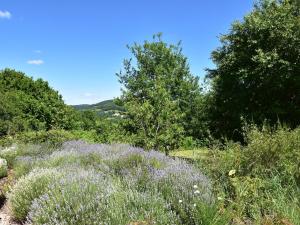 Maisons de vacances Vacation Home in France with Pool : photos des chambres