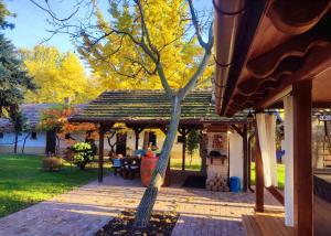 Lassu Tanya Vendégház