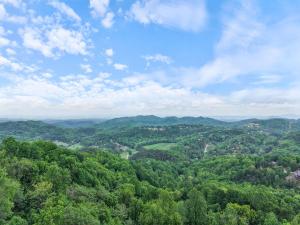 Beside The Bears by American Patriot Getaways