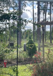 Kid-Friendly Home w Pool & Game Room Near Disney