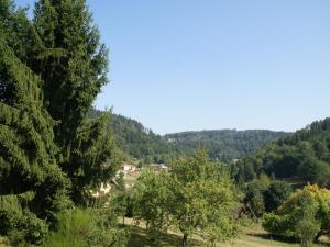 Chalets Chalet in Ventron near Ski Lift : photos des chambres