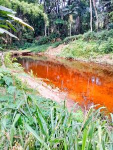 A casa pequena, mas cuidadosamente decorada, oferece um ambiente acolhedor e íntimo, perfeito para relaxar