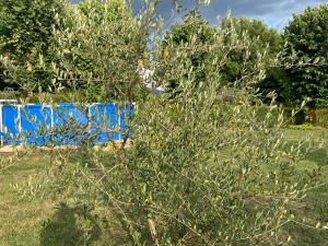 La Casina D Avena