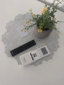 SILVIA apartment 101