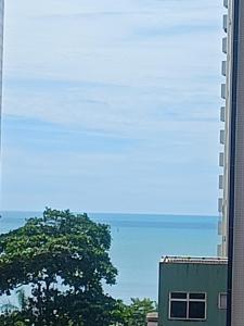 Tulip in flat SAN martain