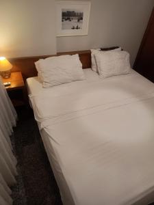 Tulip in flat SAN martain