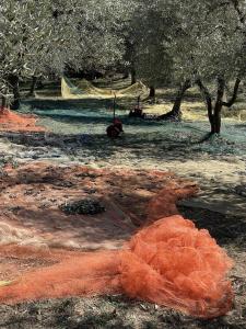 Hillside semi-detached villa with panoramic views