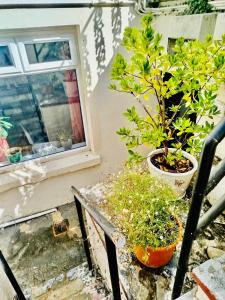 Super location 2 bedroom apartment 20 minutes from central London