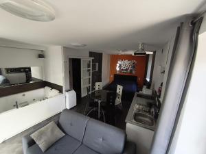 Appartements Studio meuble a proximite de la sortie d-autoroute de Feurs : Appartement 1 Chambre