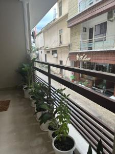 Aura Homes - A Boho Green Escape