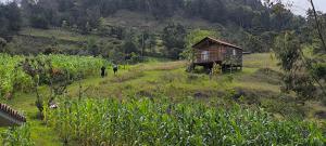 Quinta las Marias, Ecolodge, camping y Tiny wood house