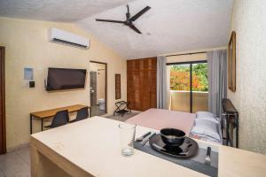 Compact Studio with Balcony Park View Casa Jurel